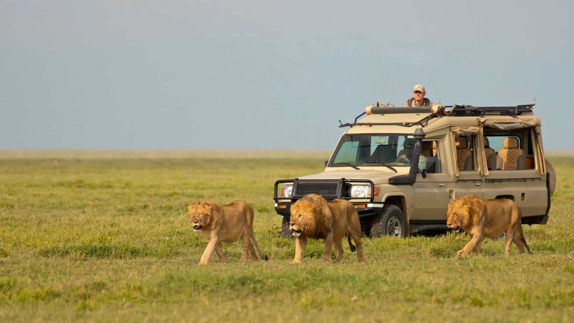 11 Days Tanzania Safari & Zanzibar Beach