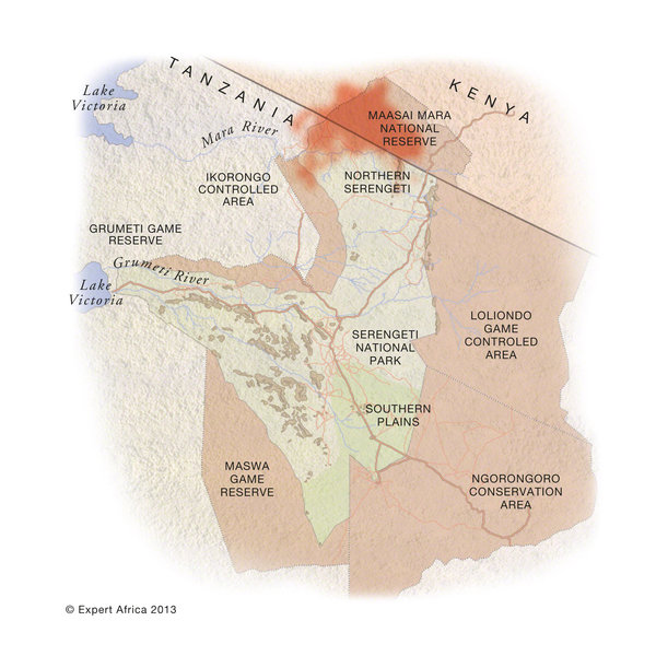 Wildebeest migration map July to September