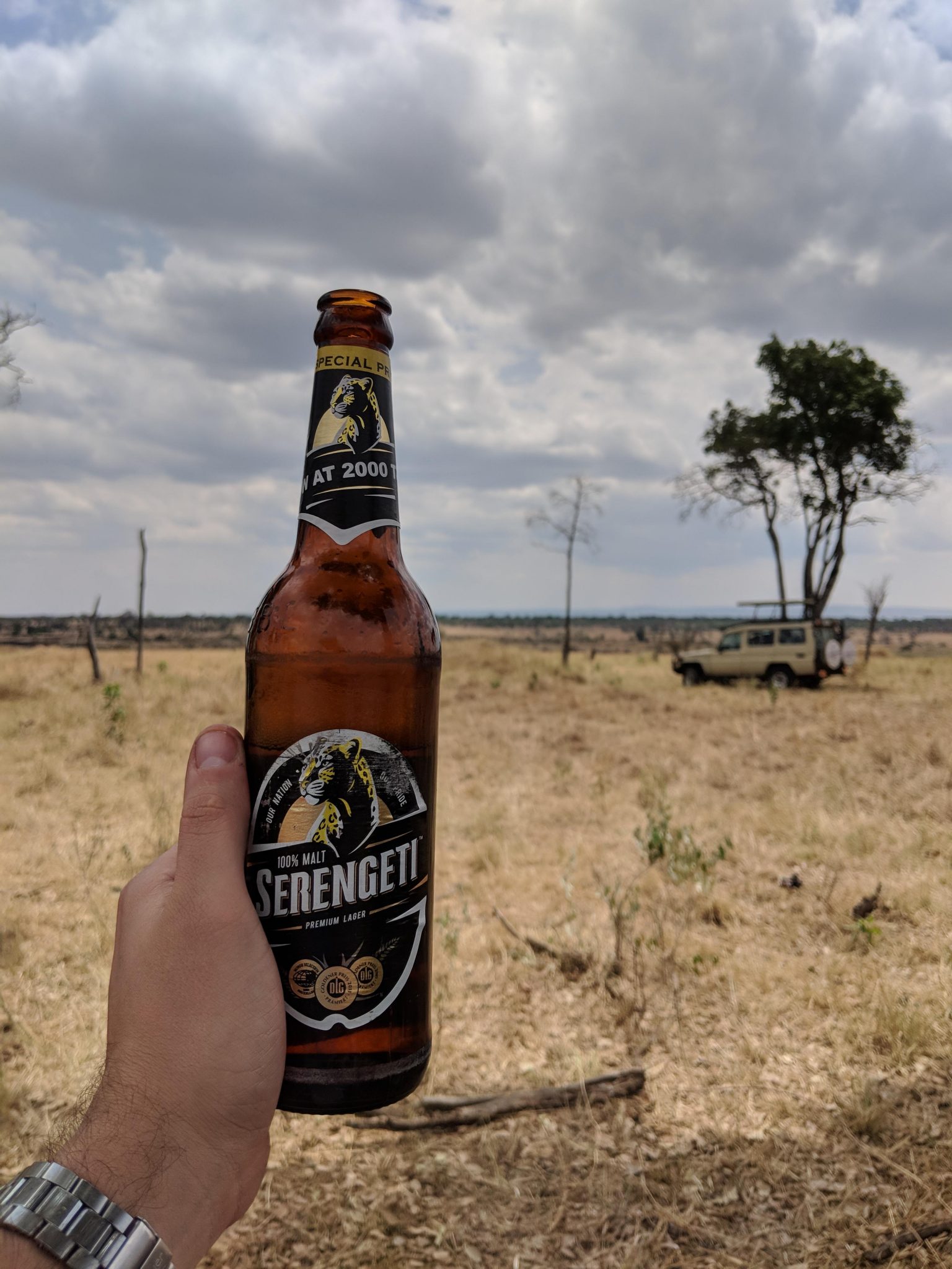 Best Tanzanian Beers to refresh after climbing Mount Kilimanjaro