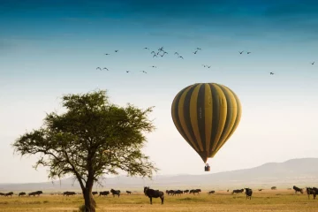 Ballon flying over Serengeti