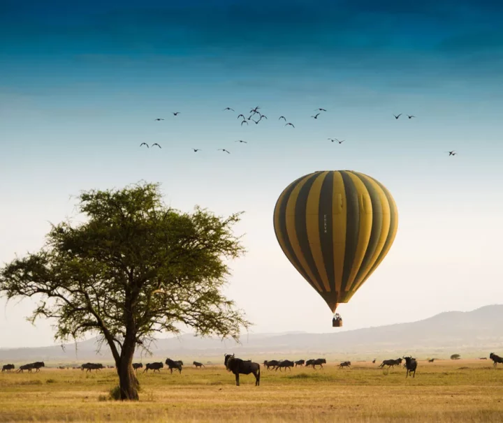 Ballon flying over Serengeti
