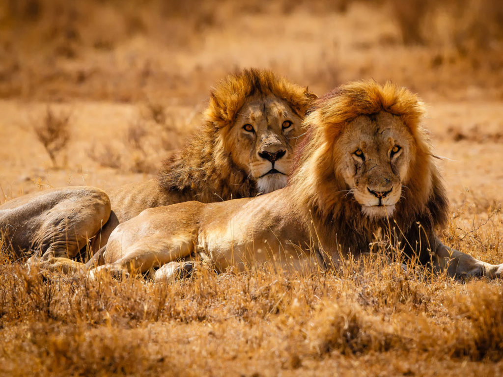 Serengeti National Park