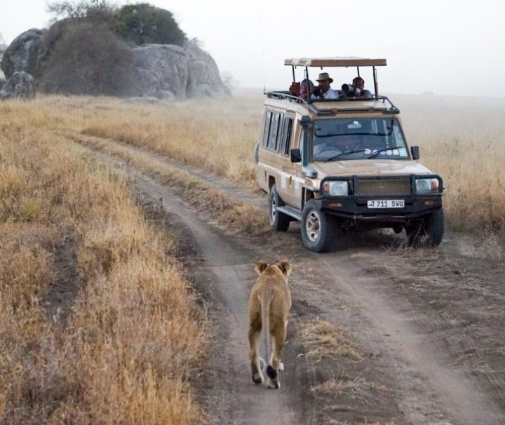 3 days Serengeti Safari