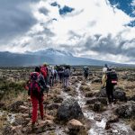 Kilimanjaro day hike