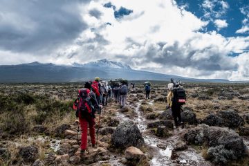 Kilimanjaro day hike