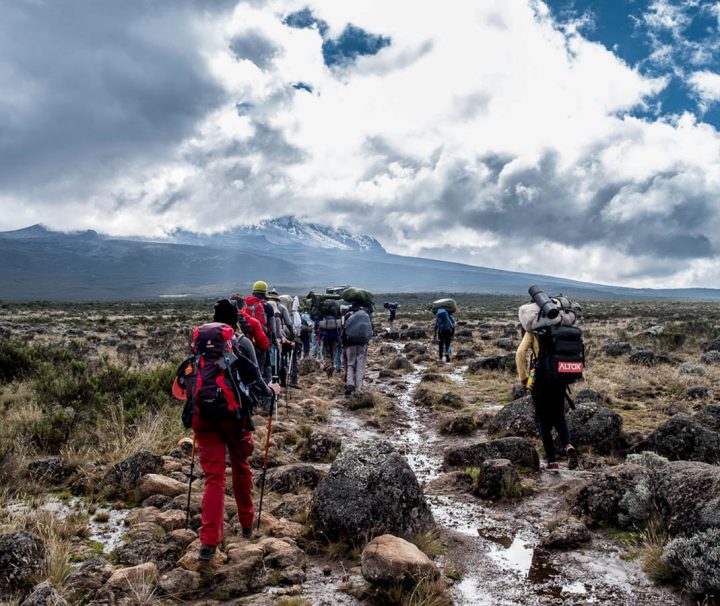 Kilimanjaro day hike