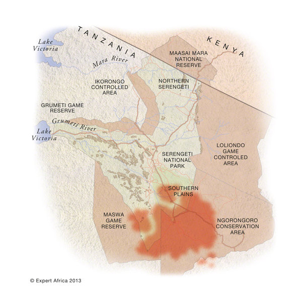 Wildebeest Migration Southern Tanzania