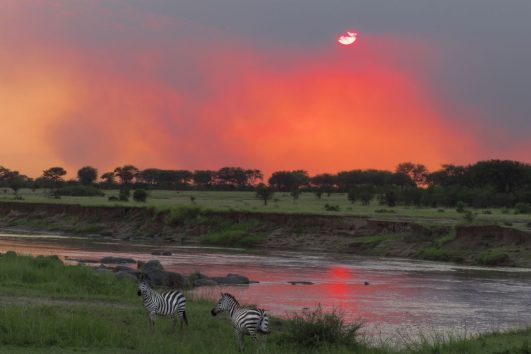 Southern Tanzania Fly in Safari 8 days