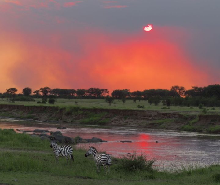 Southern Tanzania Fly in Safari 8 days