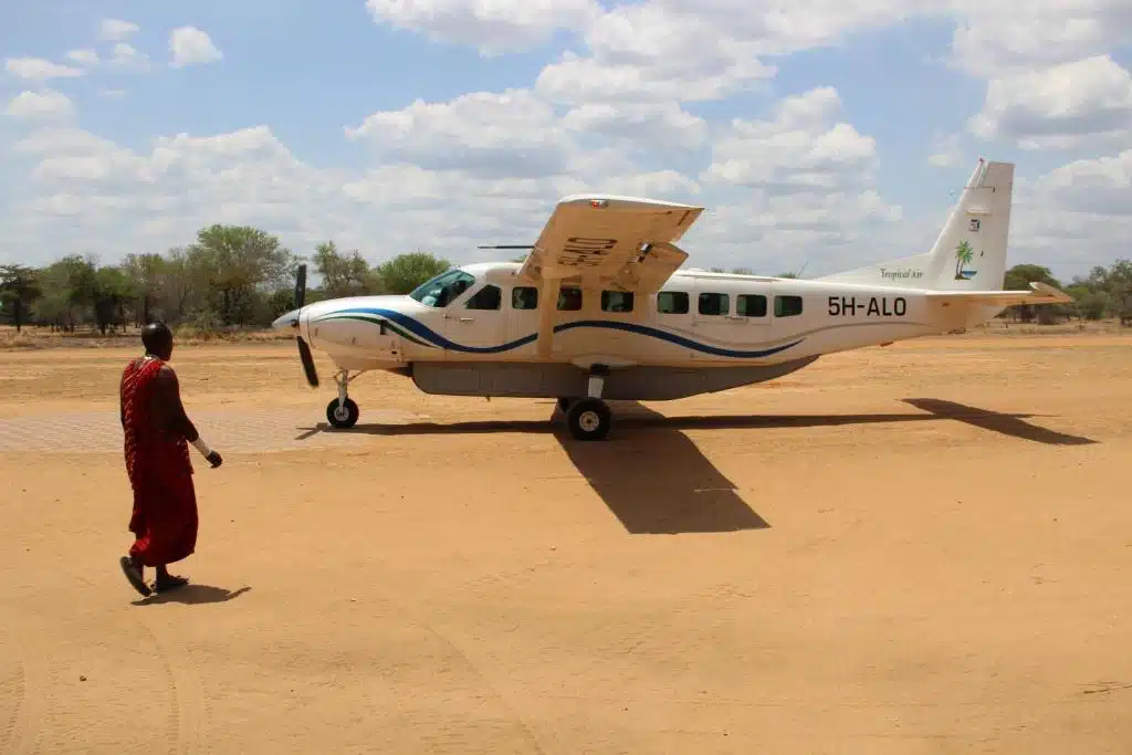 Southern Tanzania and western safari fly-in
