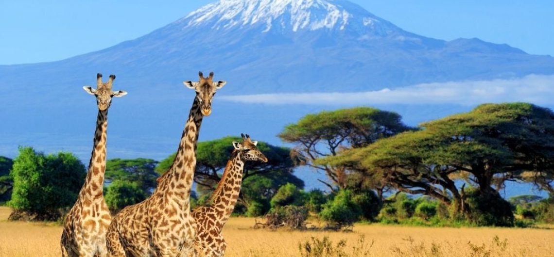 Kilimanjaro Swahili