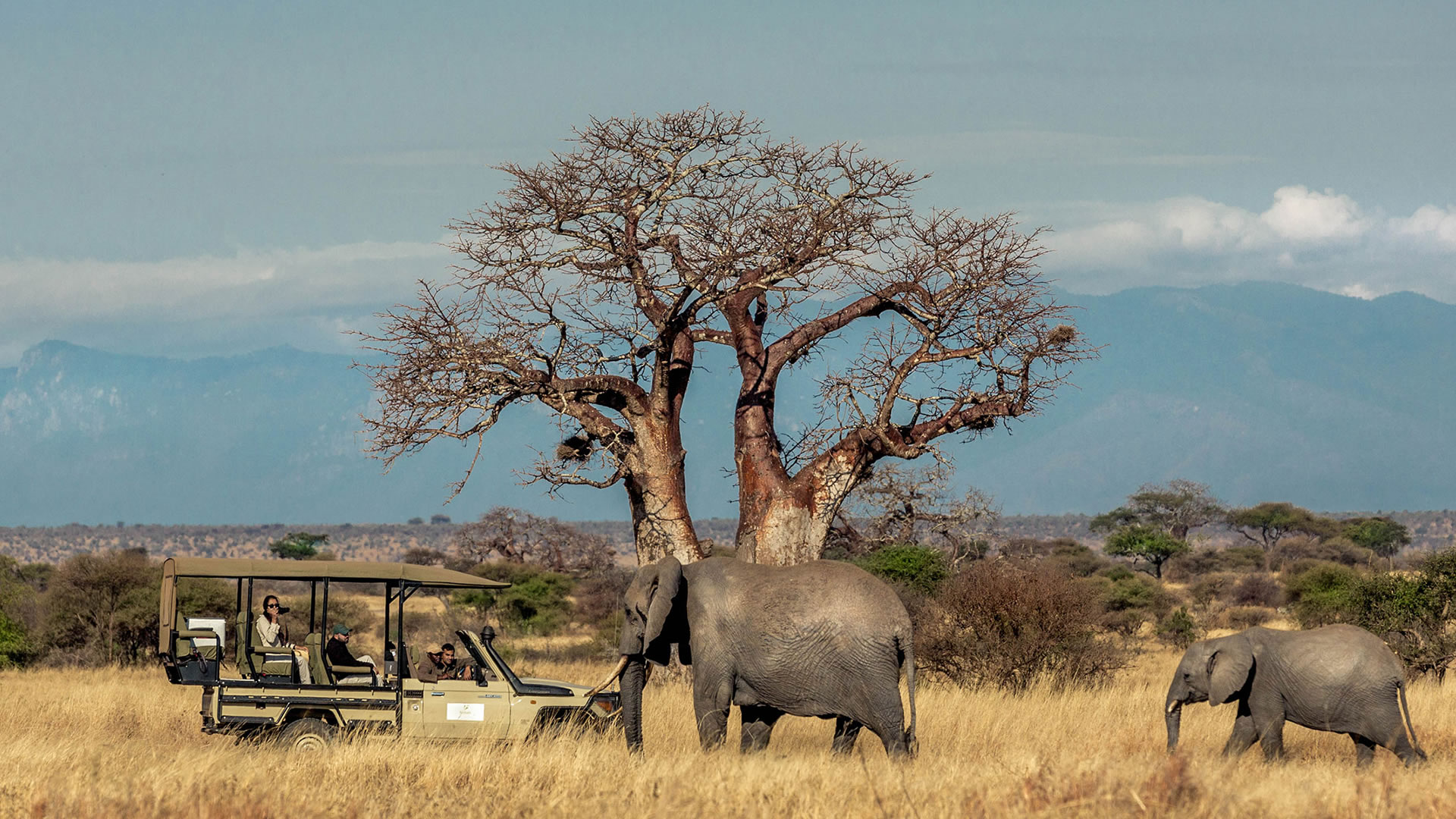 Tarangire Day trip