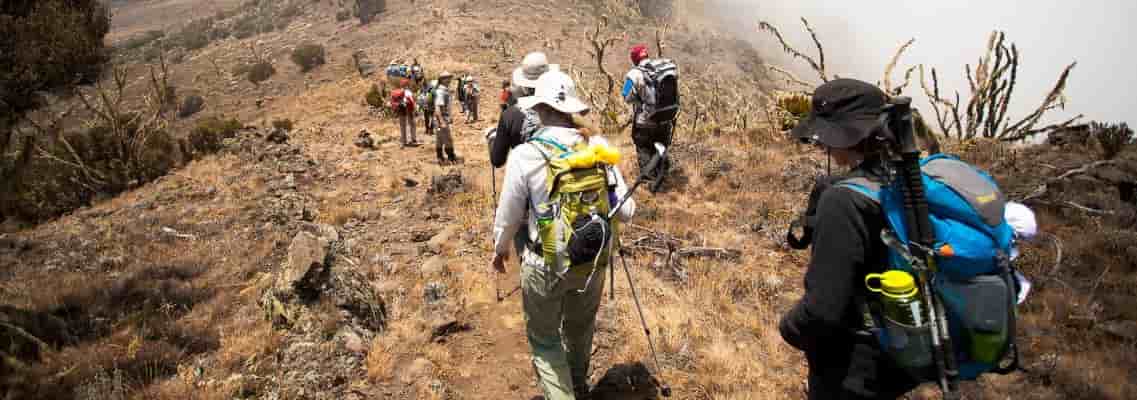 trekking daily on Mount Kilimanjaro