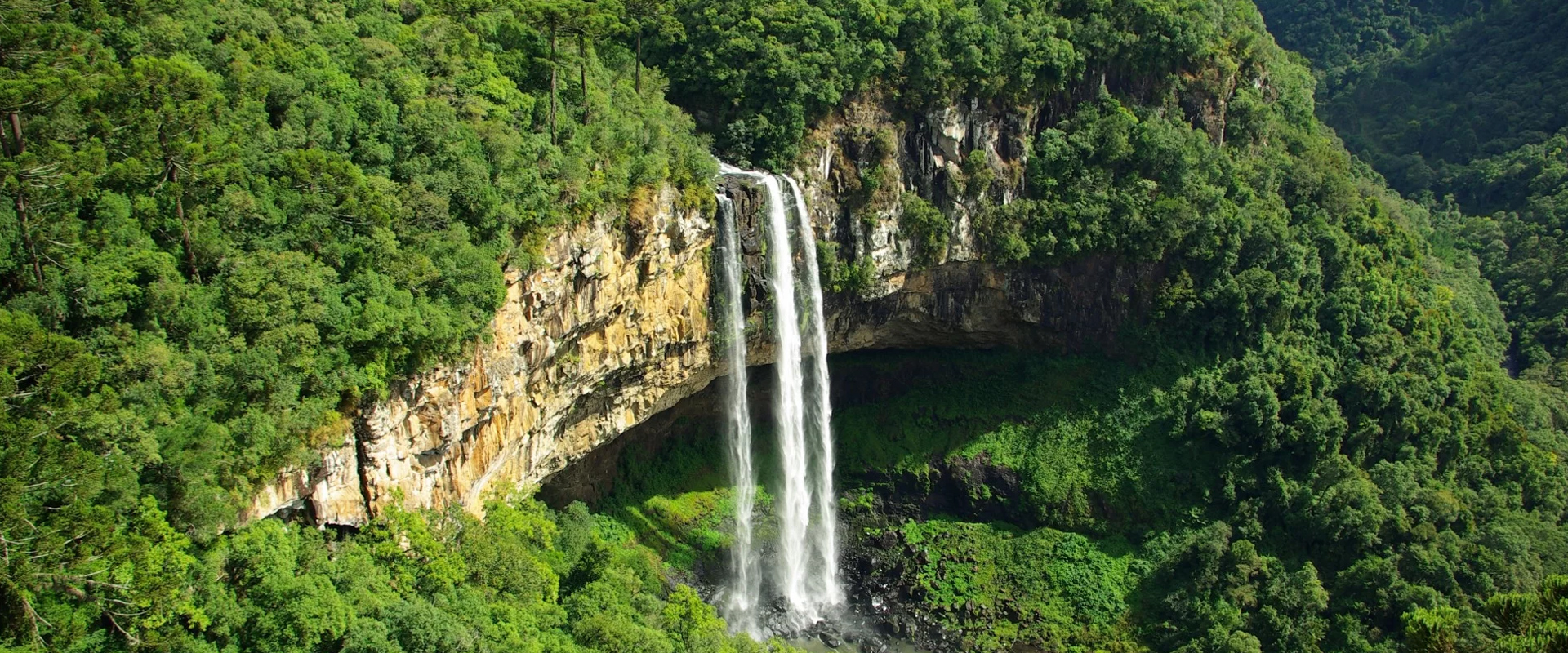 Udzungwa Mountains National PArk