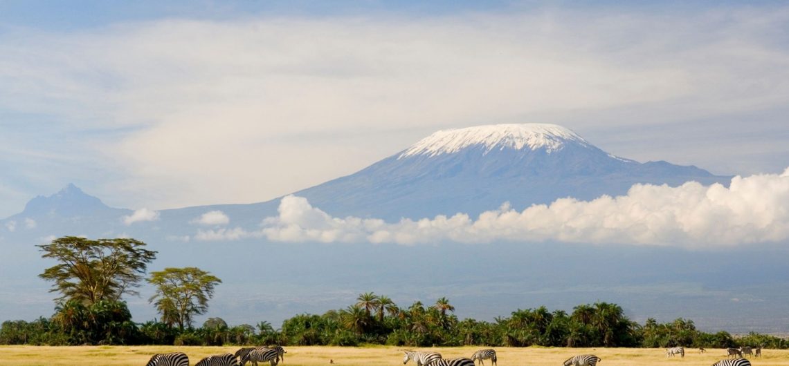 Best view of Kilimanjaro