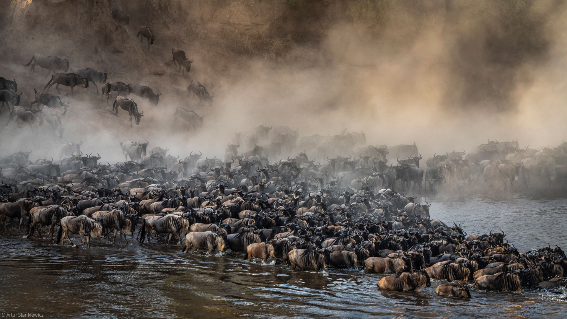 9 Days Wildbeest Migration Crossing, August to October