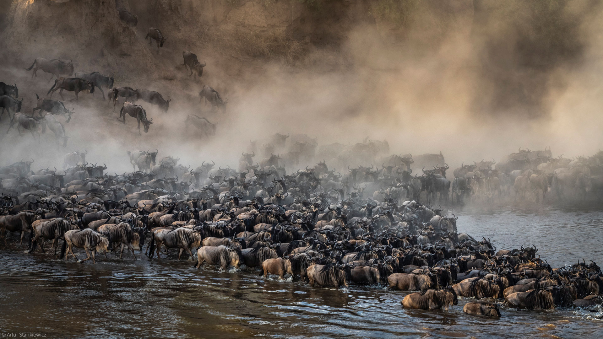 10 Days Mount Kilimanjaro Rongai Route Trek & Safari
