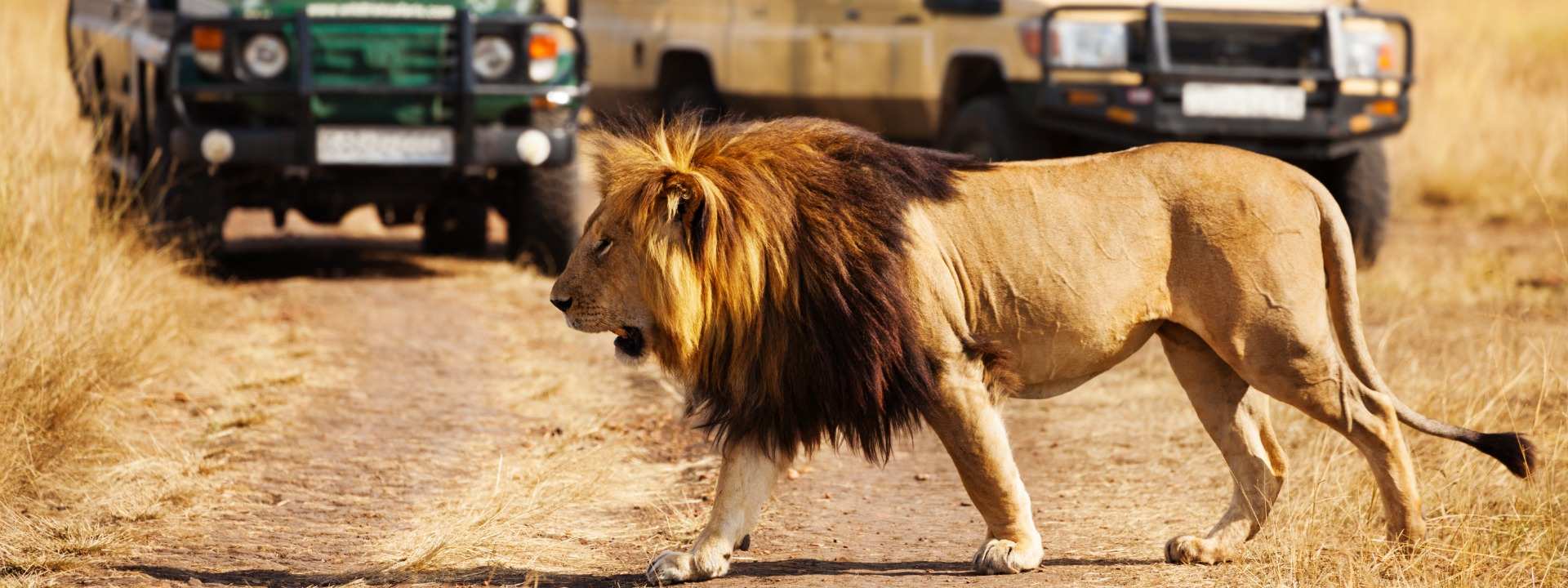 Tanzania Safari & Zanzibar